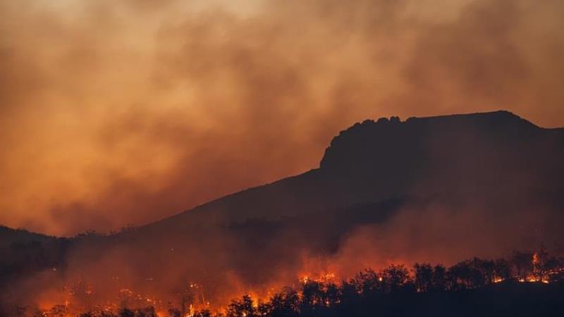 The IPCC climate change report: How is the fintech community responding?