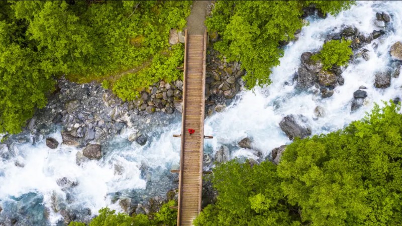 Why climate transition planning is gaining attention from smaller banks and clients